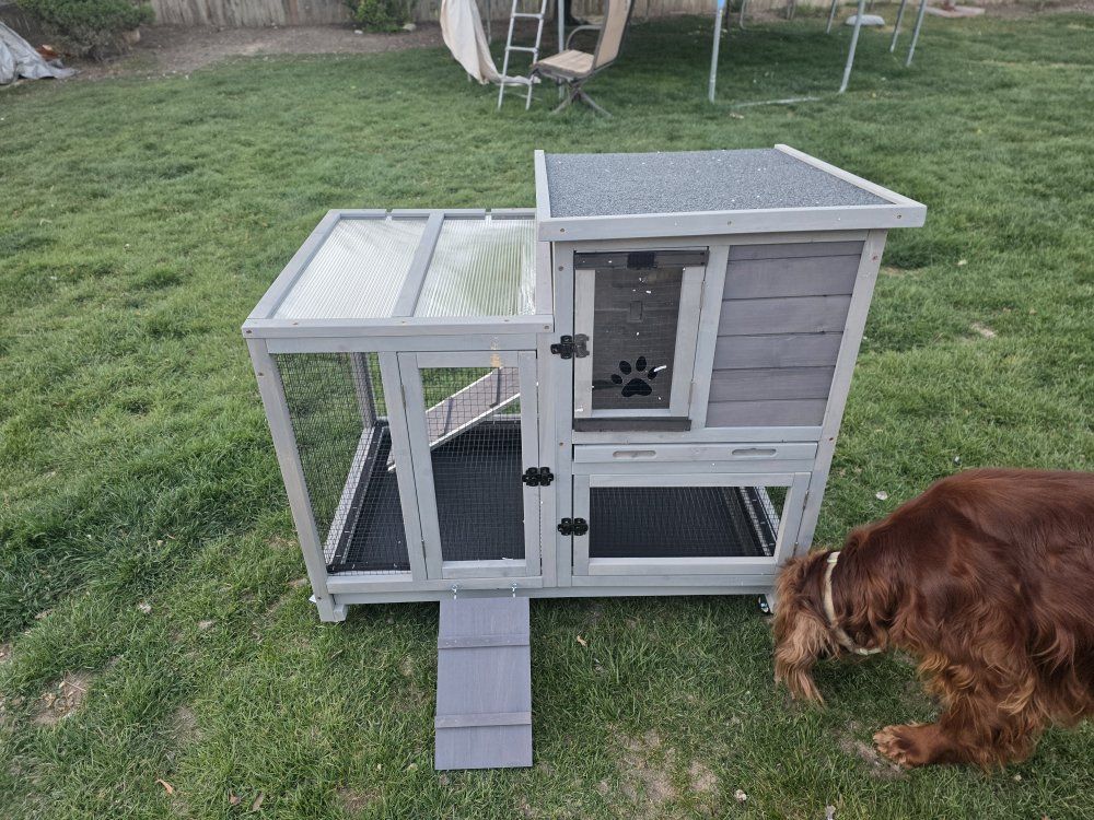 Bunny Hutch (new)