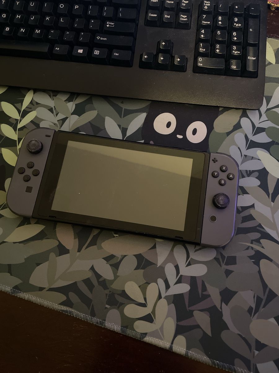Nintendo switch with dock