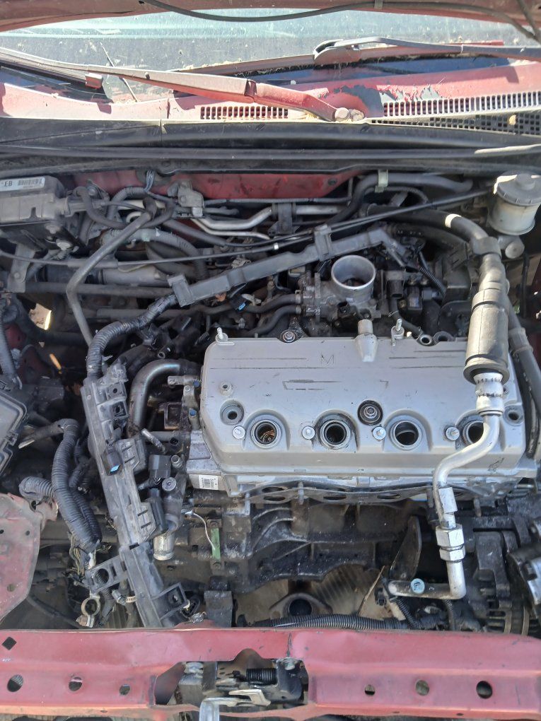 Main image 5