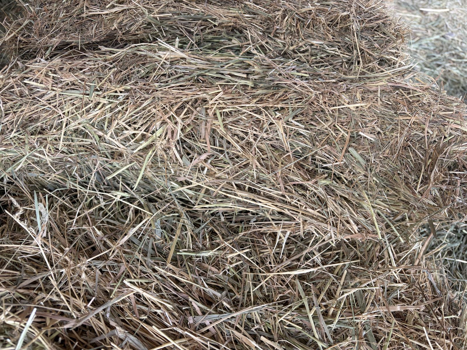 Main image 4