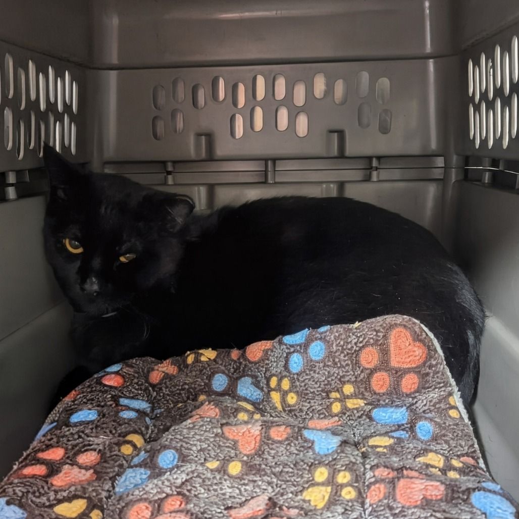 Hello my name is Peru