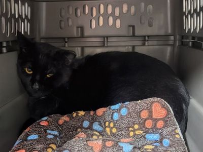 Hello my name is Peru