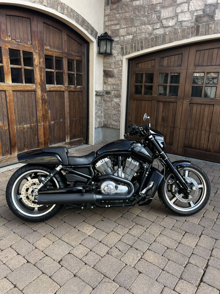 2009 HARLEY DAVIDSON V-ROD MUSCLE, VRSCF