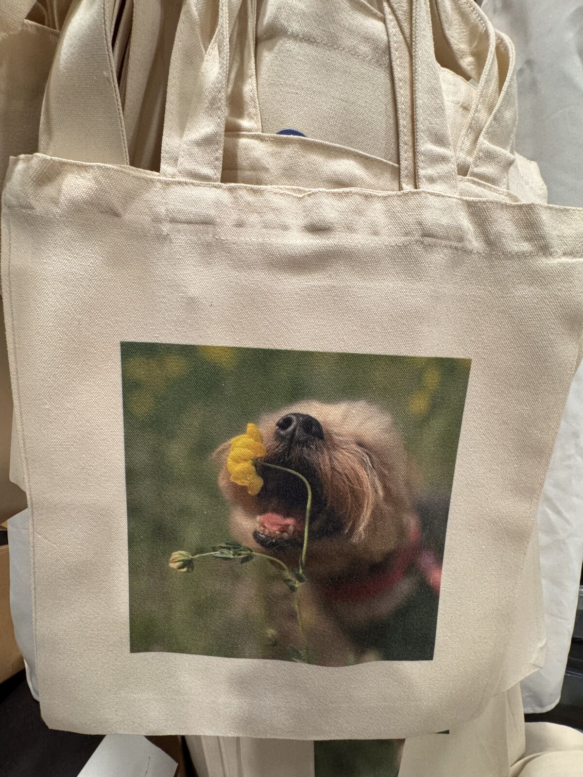 LILLY CANVAS TOTE BAG WITH A SEWN IN POUCH