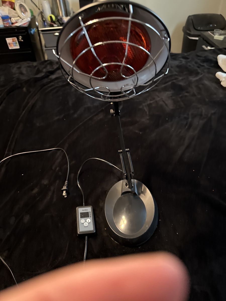 heat lamp