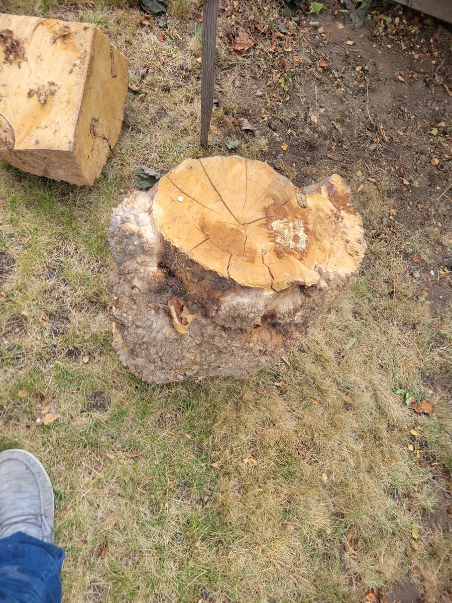 Main image 2