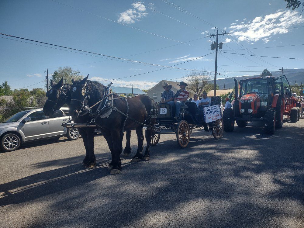 Team of Percheron Guildings