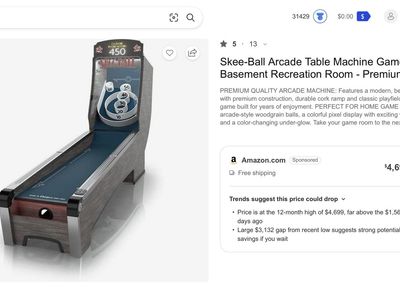 Skee-ball Game Professional Level