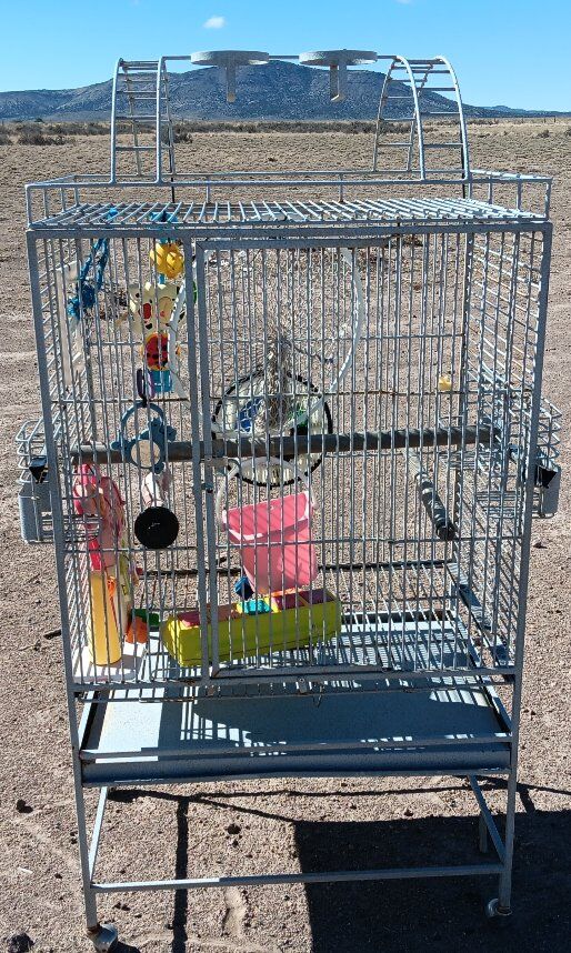 Parrot Cage