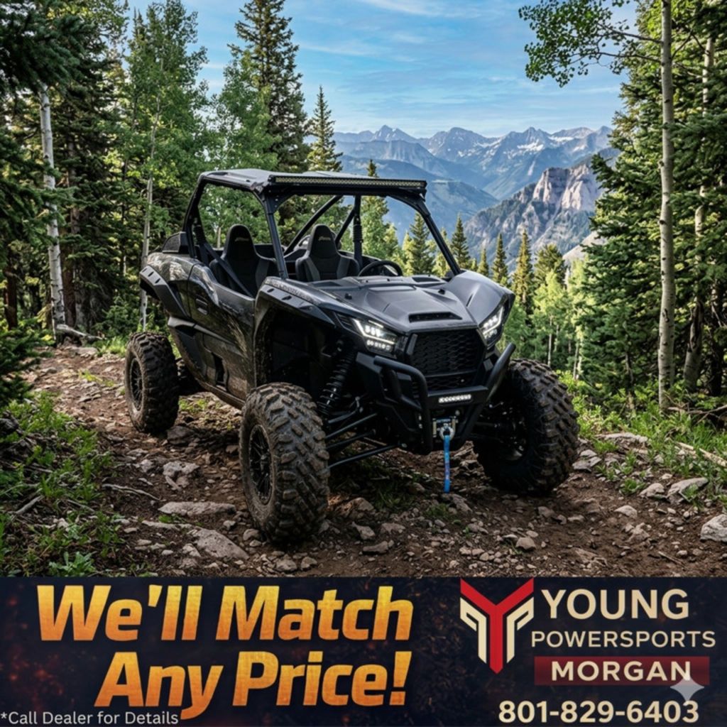 2025 Kawasaki Teryx KRX® 1000 Blackout Edition