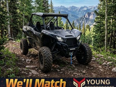 2025 Kawasaki Teryx KRX® 1000 Blackout Edition