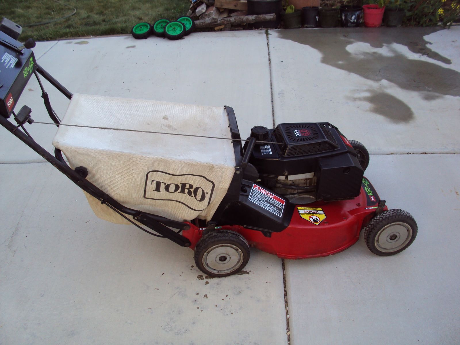 toro