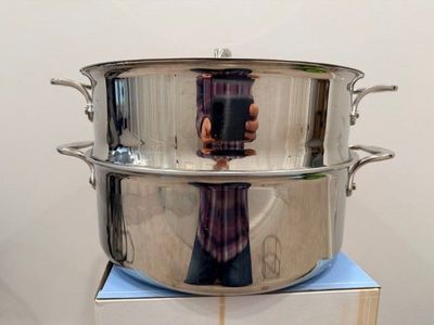 All Clad Stainless-Steel Casserole with Steamer, 5 Qt