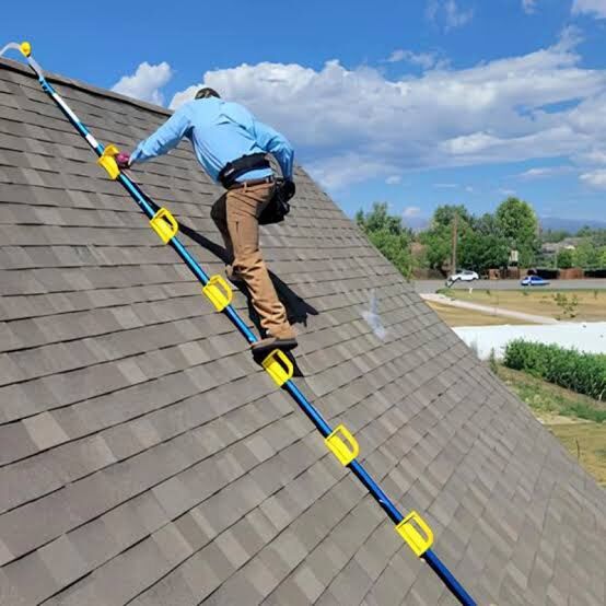 The Goat Steep Assist Roof Ladder