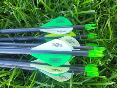 Easton N-fused carbon arrows 10 count