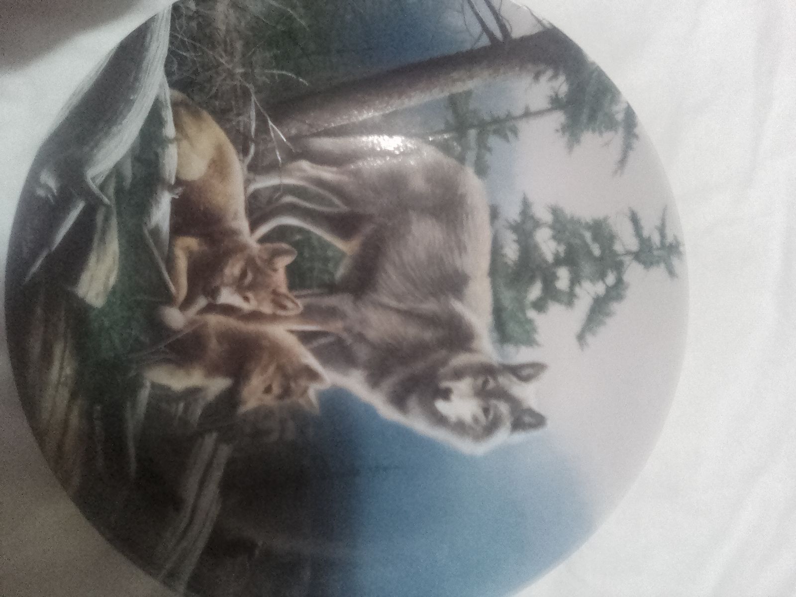 Decorative collection of wolve plates