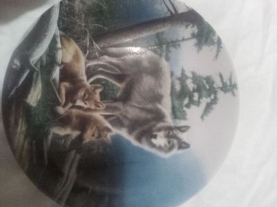 Decorative collection of wolve plates