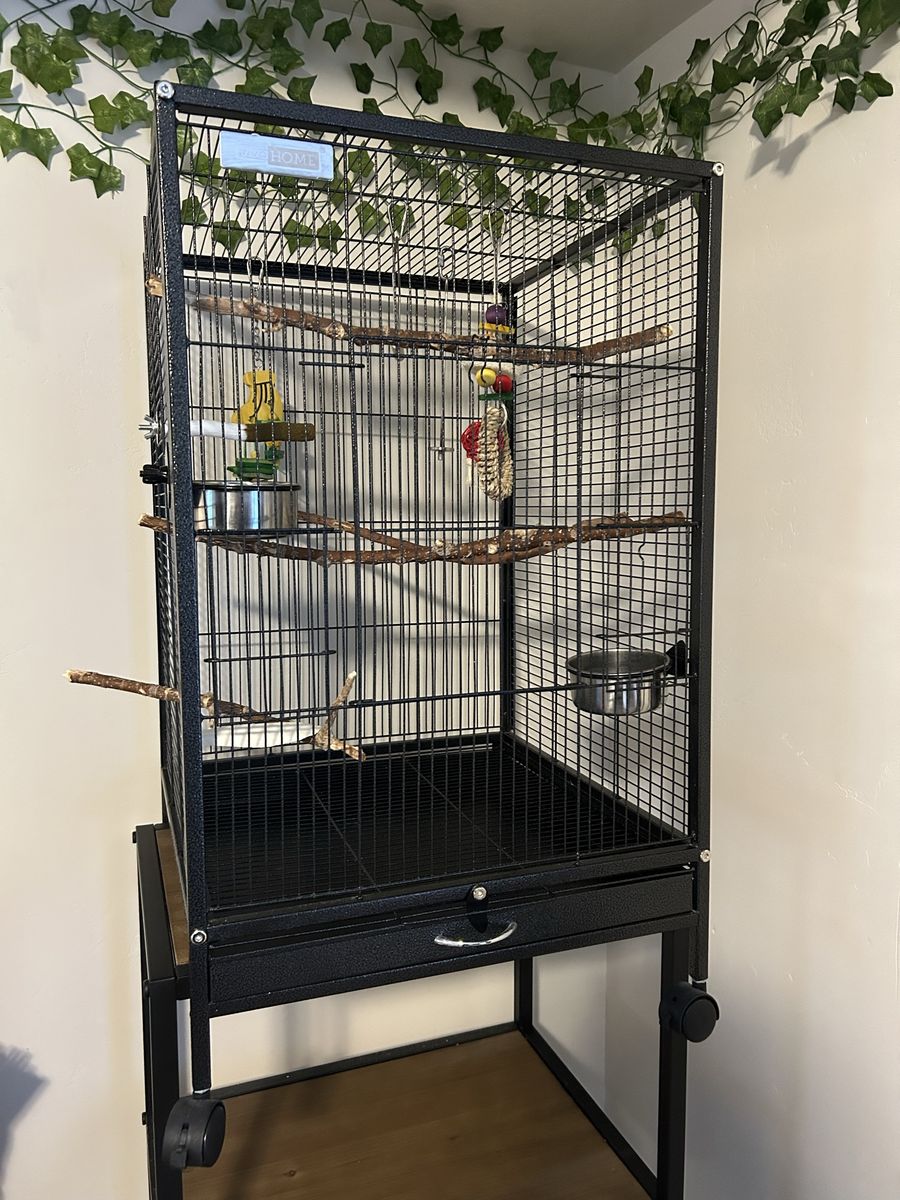 Bird Cage, Accessories, Perch, Food, and Treats