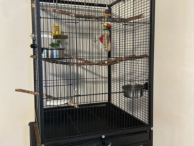 Bird Cage, Accessories, Perch, Food, and Treats