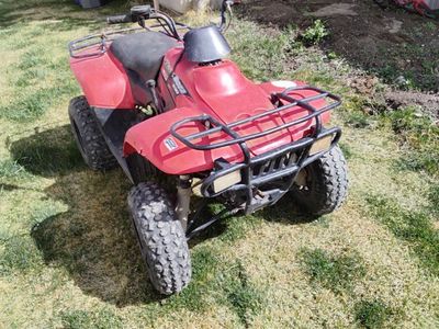 2009 Polaris trial boss