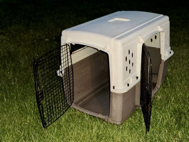 Large Pet Lodge 37" Double Door Plastic Pet Crate