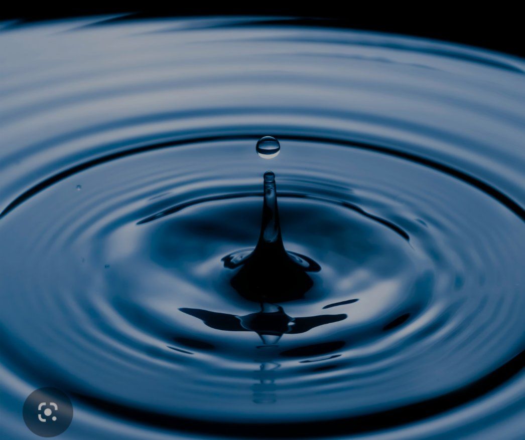 WELL WATER SHARES FOR SALE AREA 67 SAN PETE COUNTY