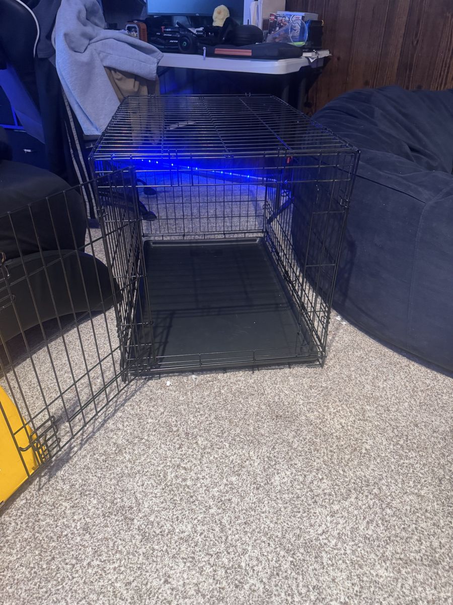 Large Dog Kennel