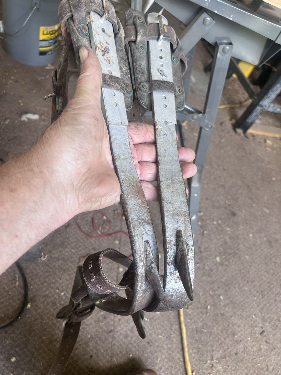 Tree  Pole Climbing Spikes Complete