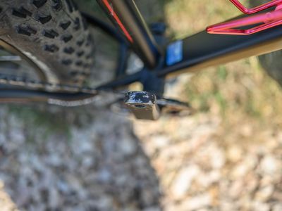 Framed Wolftrax fat bike