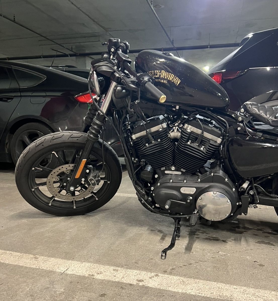 2019 Harley-Davidson - 883 Sportster (custom)