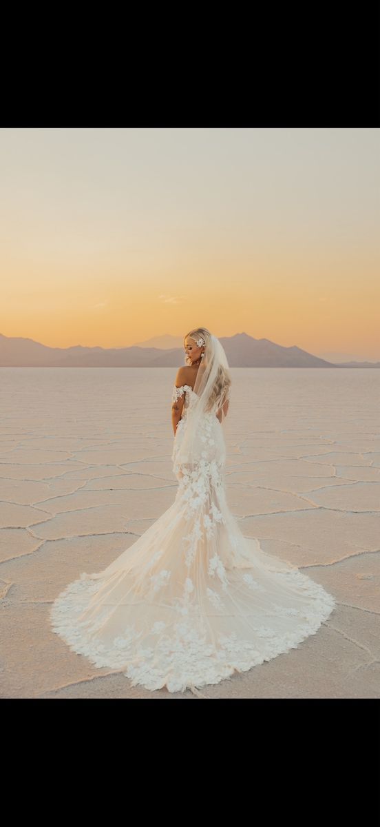 Elegant Lace Off-the-Shoulder Wedding Dress with Train