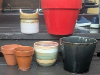 More Pots& Planters