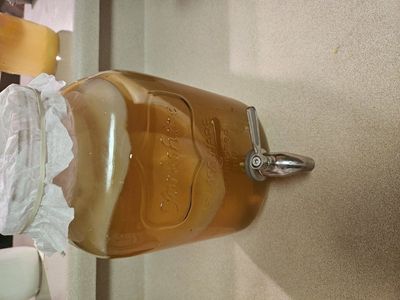 scoby