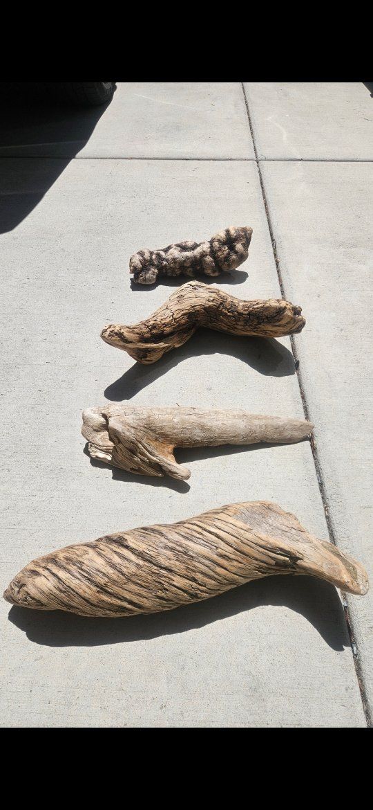 Driftwood