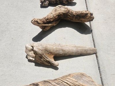Driftwood