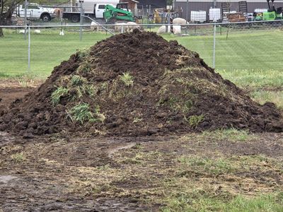 horse manure