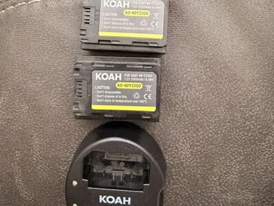 Sony Dual Charger