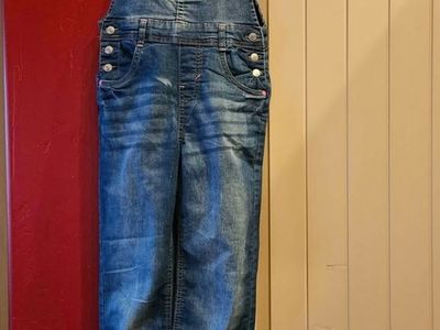 Like New Wallflower junior overalls