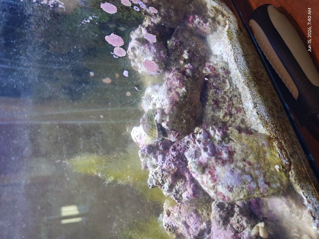 Main image 3