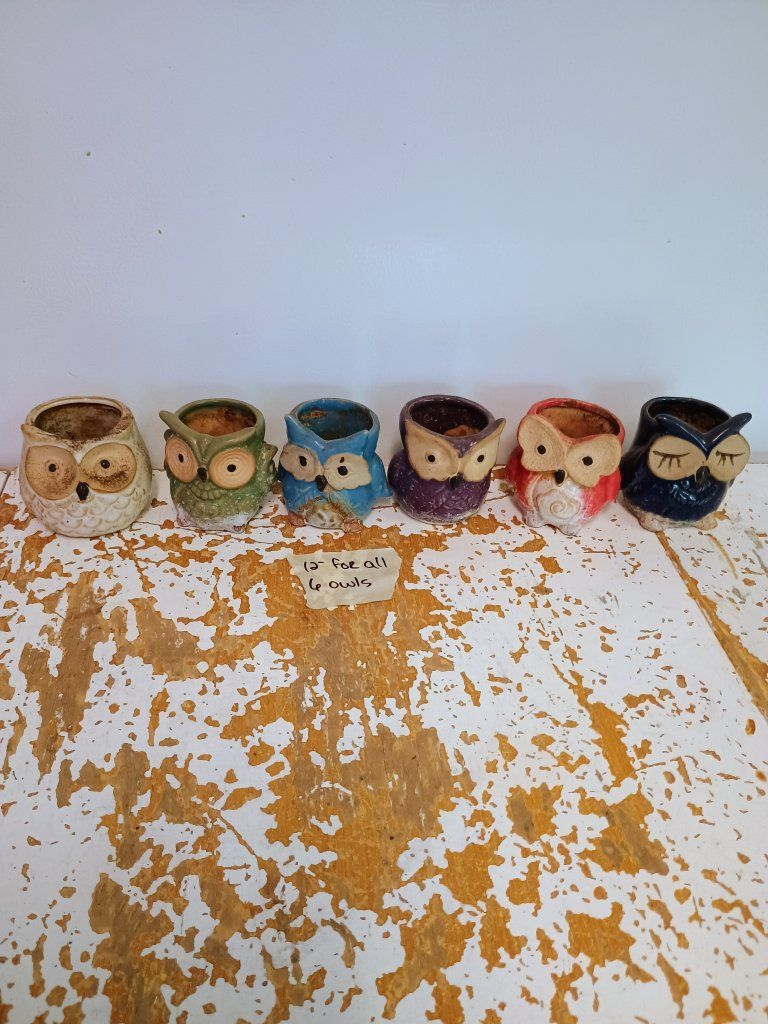 6 Owl plant pots. 2 1/2"