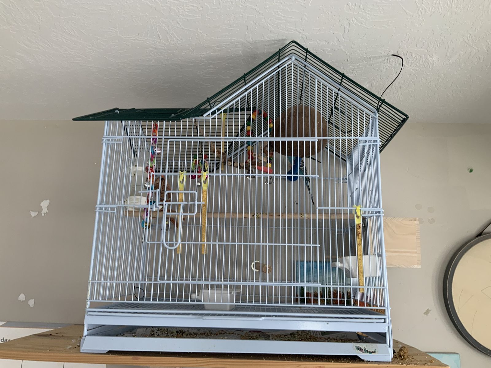 Main image 5