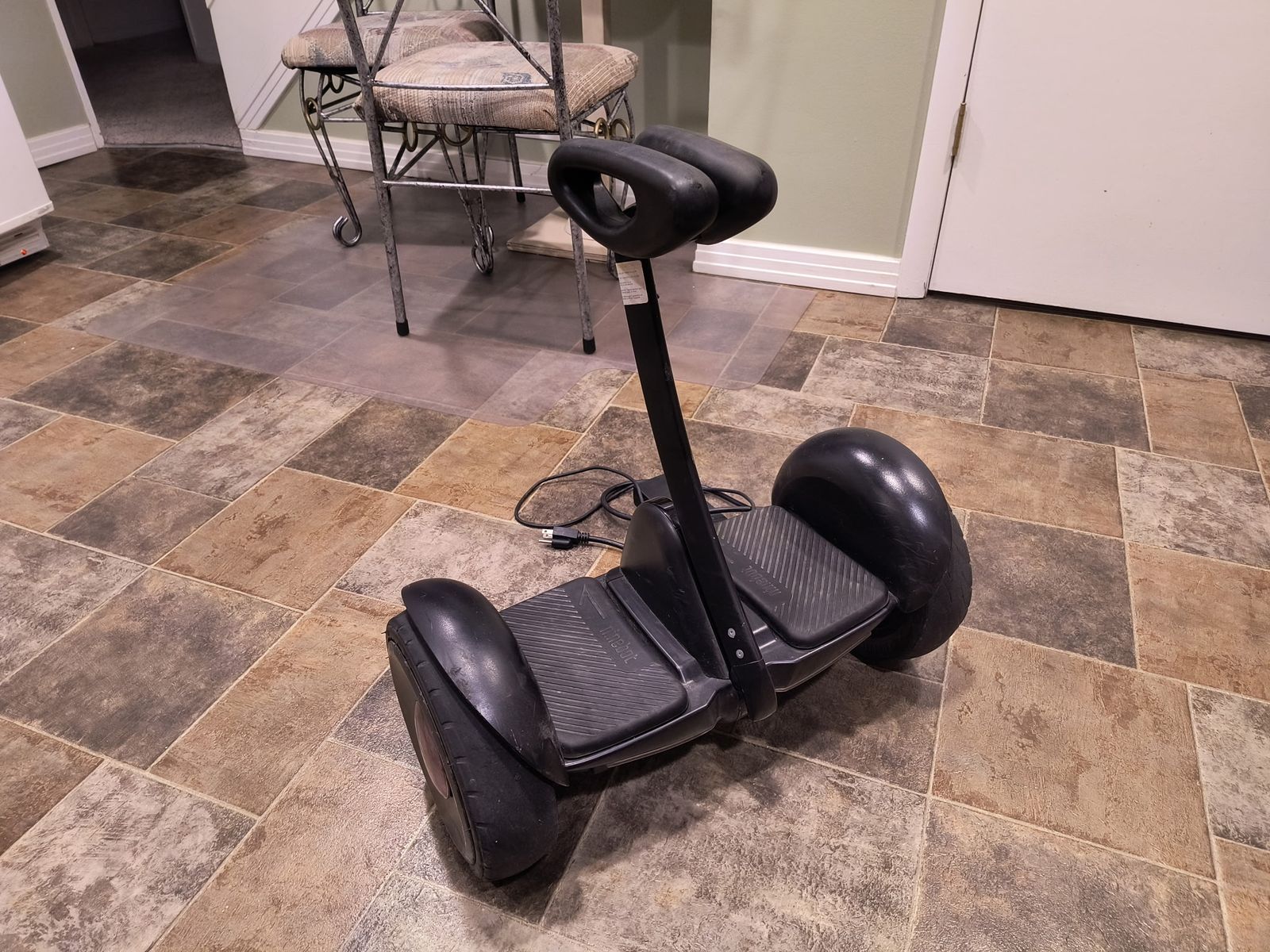 Segway Ninebot S