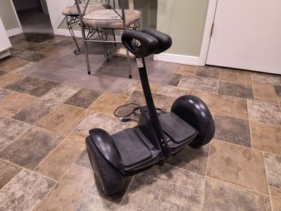 Segway Ninebot S
