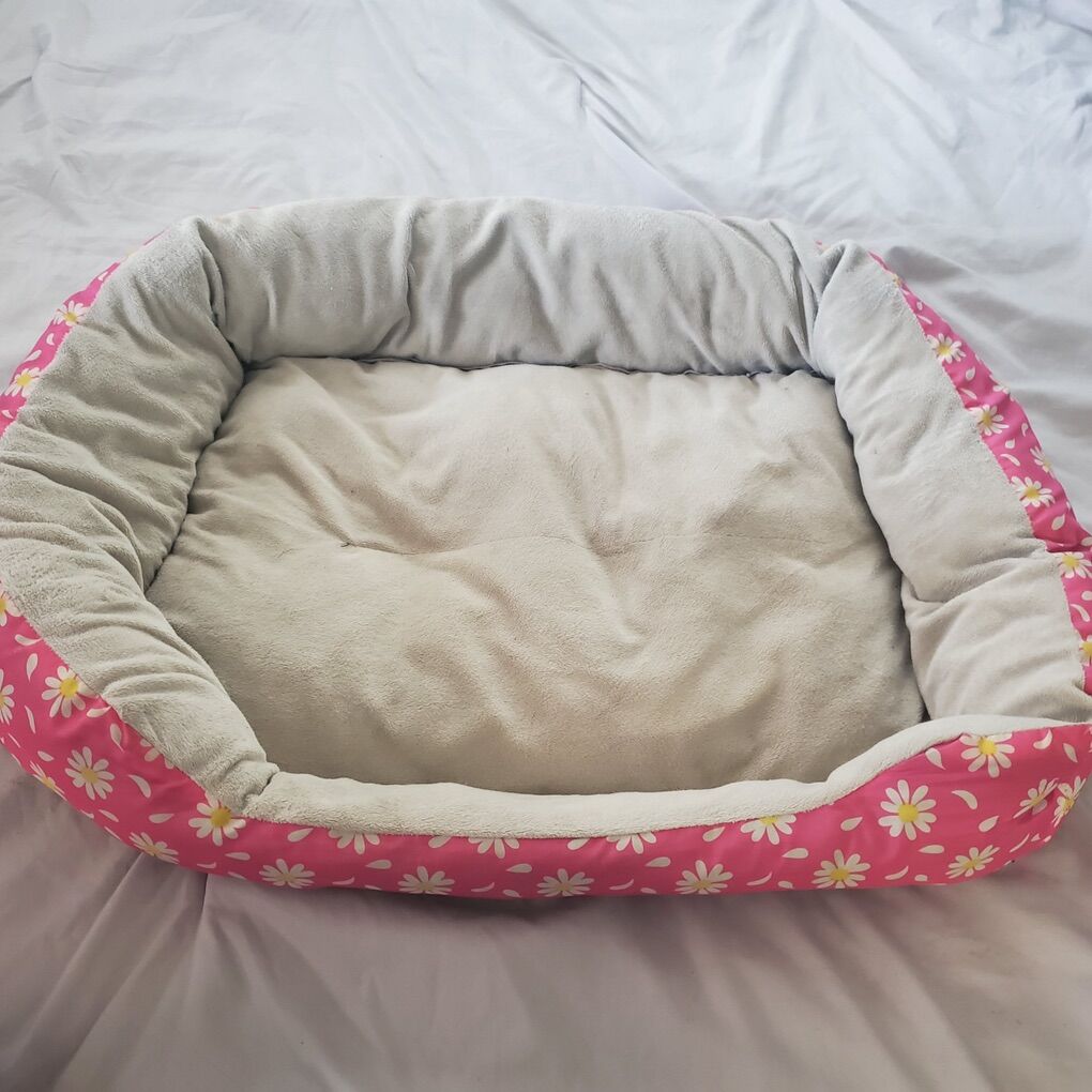 Small Dog Bed