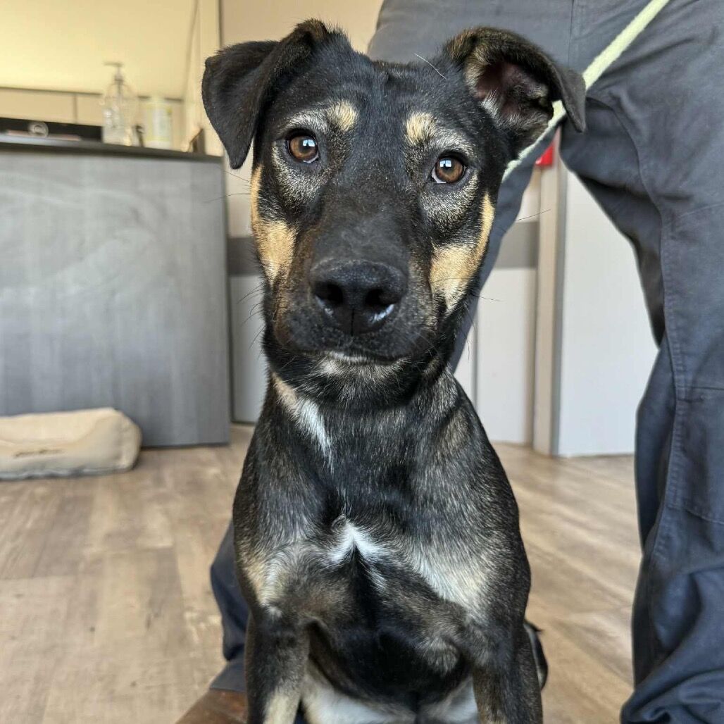 Hello my name is Adela