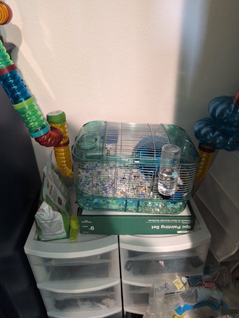 hamster enclosure