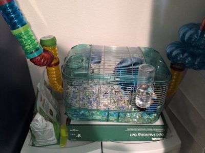 hamster enclosure