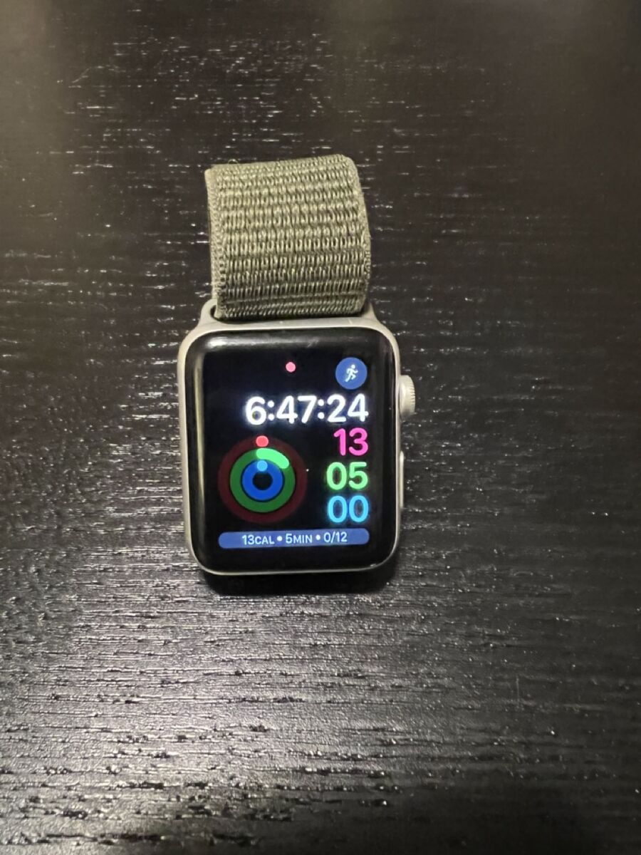 Apple Watch Series 3 (GPS + Cellular)