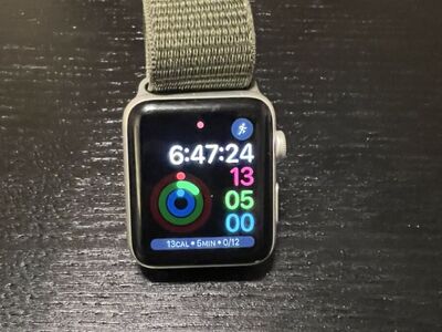 Apple Watch Series 3 (GPS + Cellular)