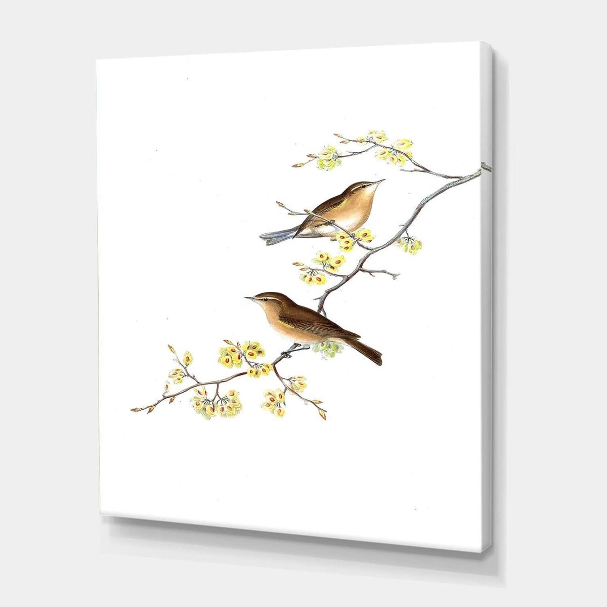 Birds on Tree Branches II Canvas Art